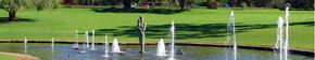 Kings Park Botanic Gardens - Accommodation QLD 3