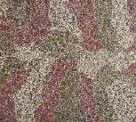 Caulfield South VIC Accommodation QLD