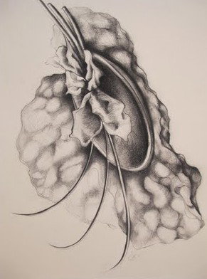 The Library Artspace - Accommodation QLD 1