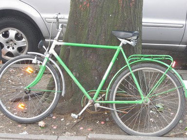 The Library Artspace - Accommodation QLD 2