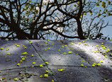 Hawthorn Studio & Gallery - Accommodation QLD 3