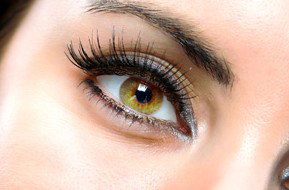 Beauty On Ryrie - Accommodation QLD 1