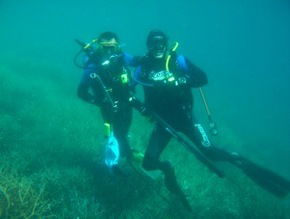 Pelican Charters - Accommodation QLD 1