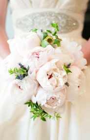 Karralyka Centre - Accommodation QLD 3