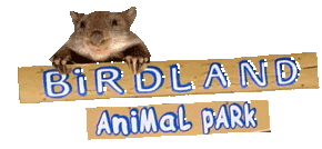 Birdland Animal Park - Accommodation QLD