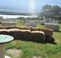 We Are Paintball - Accommodation QLD
