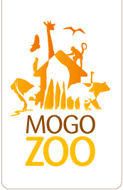 Mogo Zoo - Accommodation QLD