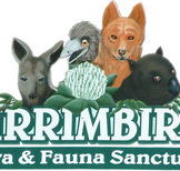 Wirrimbirra Sanctuary - Accommodation QLD
