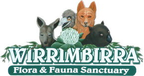 Wirrimbirra Sanctuary - Accommodation QLD 0