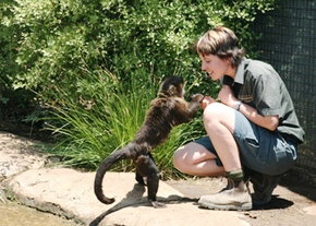 National Zoo & Aquarium - Accommodation QLD 1