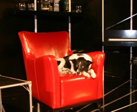 Old Fitzroy Theatre - Accommodation QLD 0