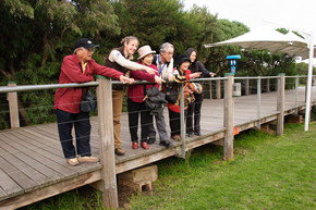 Phillip Island Penguin Parade - Accommodation QLD 1