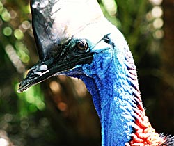 Dakabin QLD Accommodation QLD