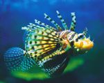  Accommodation QLD