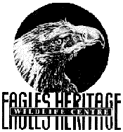 Eagles Heritage - Accommodation QLD