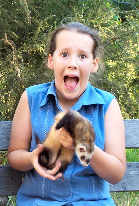 Peel Zoo - Accommodation QLD 1