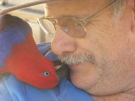 Peel Zoo - Accommodation QLD 3