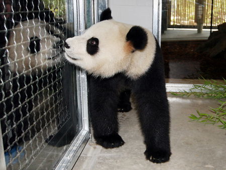 Adelaide Zoo - Accommodation QLD 3