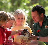 Cleland Wildlife Park - Accommodation QLD