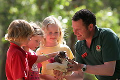 Cleland Wildlife Park - Accommodation QLD 0