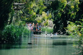 Cleland Wildlife Park - Accommodation QLD 1