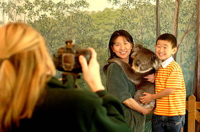 Cleland Wildlife Park - Accommodation QLD 2