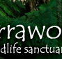 Warrawong Wildlife Park - Accommodation QLD