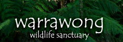 Warrawong Wildlife Park - Accommodation QLD 0