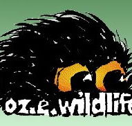 OZe Wildlife - Accommodation QLD