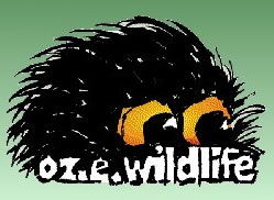 OZe Wildlife - Accommodation QLD 0