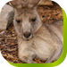  Accommodation QLD