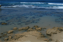 Braddon ACT Accommodation QLD