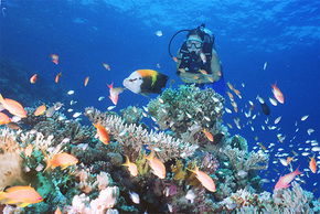  Accommodation QLD
