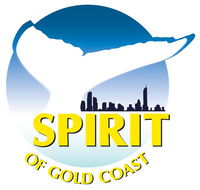 Spirit of Gold Coast Whale Watching - Accommodation QLD