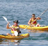 Manly Kayaks - Accommodation QLD