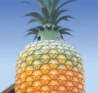 The Big Pineapple - Accommodation QLD