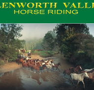 Glenworth Valley Horseriding - Accommodation QLD