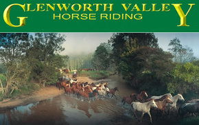 Glenworth Valley Horseriding - Accommodation QLD 0