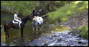 Glenworth Valley Horseriding - Accommodation QLD 1