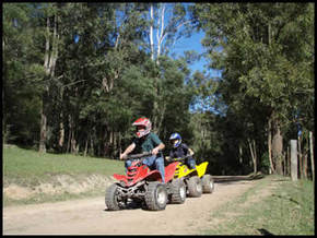 Glenworth Valley Horseriding - Accommodation QLD 3