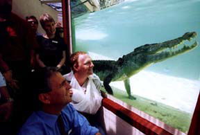 Alice Springs Reptile Centre - Accommodation QLD 1