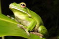  Accommodation QLD