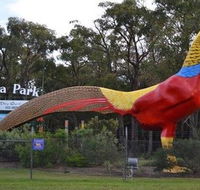 Gumbuya Park - Accommodation QLD