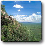 Kakadu National Park - Accommodation QLD 2