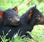 Great Oak Holdings Pty Ltd - Accommodation QLD