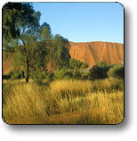 Glen Helen NT Accommodation QLD