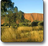 Uluru - Kata Tjuta National Park - Accommodation QLD