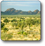 Uluru - Kata Tjuta National Park - Accommodation QLD 2