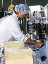 Allansford Cheese World - Accommodation QLD 1