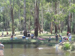 Buxton Trout And Salmon Farm - Accommodation QLD 3